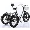 LWCHUANG 20Ã4 Inch Fat Tire Electric Tricycle, Low Step-in Electric Bike, 500w Motor, with 58l Rear Shopping Basket, Multiple Riding Modes, for Elderly People Shopping, Beach, Camping