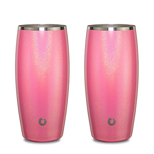 SNOWFOX Insulated Stainless Steel Pint Glasses (Set of 2)