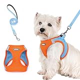rabbitgoo Dog Harness Small Sized and Leash Set, Step in Soft Light Puppy Vest, Breathable Mesh Pet Harness, Reflective for Safe Easy Walking, Blue & Orange S