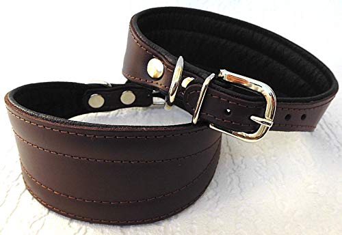 Greyhound Podenco Windhund - Halsband, Halsumfang 40-47 cm Leder °BRAUN°