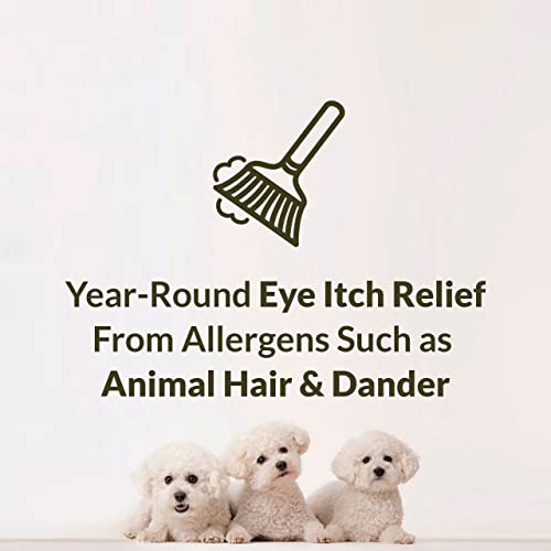 Allergy Eye Itch Relief Eye Drops By Alaway, Antihistamine, 10 Ml #TOP1