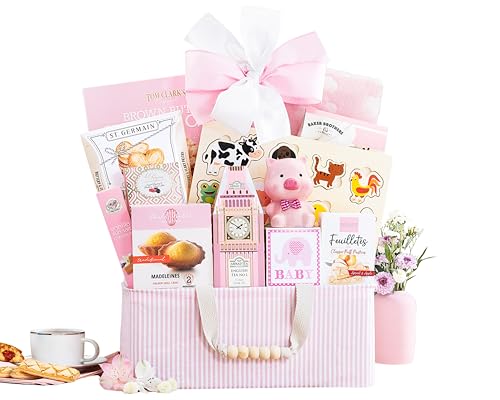 The Bundle of Joy Pink Newborn Baby Girl Gift Basket Congratulations Gift Welcome Home by...