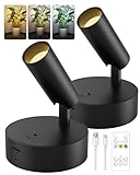 GOODEA Battery Operated Spot Light Indoor with Remote 3000mAh,3 Color Dimmable Wireless Rechargeable Picture Light for Wall,Tree Spotlight Indoor,Uplighting Stick on Wall for Plant Artwork (2)