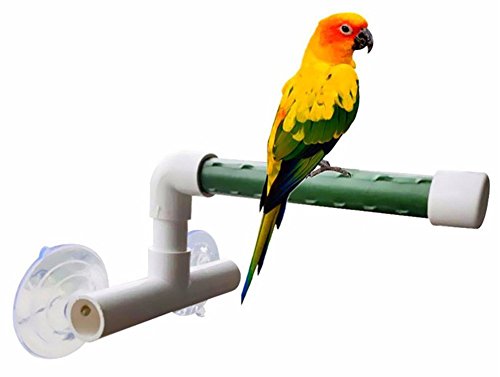 Hypeety Bird Parrot Stand Perch Shower Standing Toy Portable Suction Cup Parrot Shower Perch Bath Stands Suppllies Holder Platform Parakeet Finch Window Sturdy Hanging Play (Small)