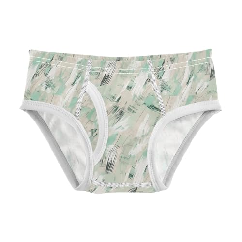 visesunny Boys Cotton Underwear Mint Block Graffiti Printed Toddler Soft Training Briefs Size 2T-8Y for Kids