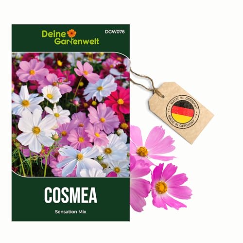 Cosmea Schmuckkörbchen Sensation Mix Samen - Cosmos bipinnatus - Cosmeasamen - Blumensamen - Saatgut für 70 Pflanzen