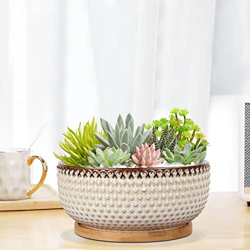 Epfamily 8 Inch Ceramic Succulent Shallow Planter Pot With Drainage Hole And Saucer Bonsai Planter For Indoor Plants White #TOP3
