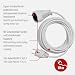 Brennenstuhl Cable alargador de corriente de 5 m (alargador eléctrico para interiores)...