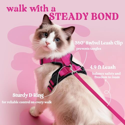 Image of rabbitgoo Cat Harness and Leash Set, Escape Proof Vest, Rose Red | Soft Breathable Mesh, Easy Adjustable Fit, Snap Buckles, Sturdy Clip, Reflective Strips, for Kittens & Small Cats Walks, Xxs