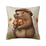 Divertida funda de almohada cuadrada de felpa con estampado de marmota de 40, dormitorio o interior de coche