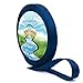 Country Brook Design 1 Inch Navy Blue Nylon Heavy Webbing, 10 Yards