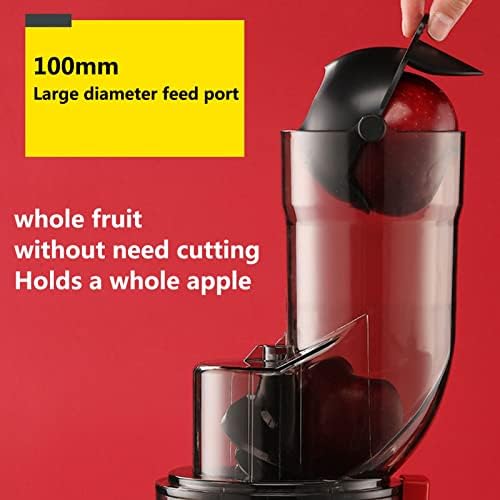 Cold Press Vertical Juicer Machine Slow Masticating Juicer Extractor High Nutrient Fresh Vegetable and Fruit Juice Extractor with Quiet Motor & Reverse Function Easy Cleaning 800 Ml (Color : Red)