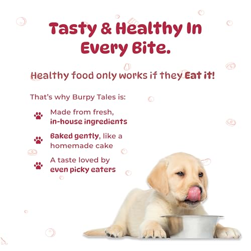 Image of Burpy Tales Dry Dog Food for Puppies - 100GM, Baked Chicken and Meat Kibble for Large & Small Breed Dogs, Real Meat & Fresh Vegetables for Active Nutrition, Kibbles with Zero Artificial Preservatives