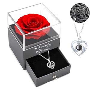 Gifts for Women Christmas Stocking Stuffers Red Rose with I Love You Necklace Eternal Flowers Rose Gifts for Women Mom Wife and Girlfriend on Valentines Day Mothers Day Christmas Anniversary Birthday