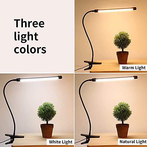 Minegrow Book Light For Reading In Bed,Desk Light,Eye-Friendly And 3 Colors Desk Lamp With Clamp,Adjustable Goose Neck&Brightness,Desk Lamps For Home Office #TOP1