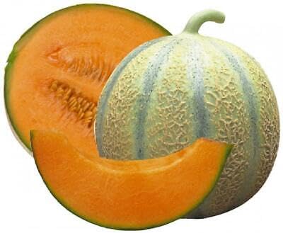 Buy4seeds 20 Seeds Organic Melon Cantaloupe Hearts of Gold Useful for Garden and Outdoor