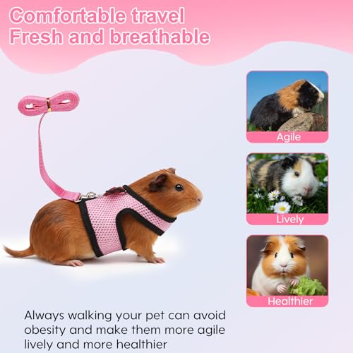 Image of Guinea Pig Harness and Leash，2packs Guinea Pig Clothes Baby Ferret Rats Hamster Soft Mesh Harness Leash for Decoration，Hamster Harness can be Adjusted to Any Size. (Pink + Purple)