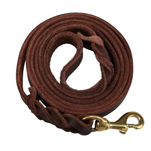RvPaws Heavy Duty Leather Dog Leash Strong & Soft Leather Leash for Large and Medium Dogs - Best Leash for Training (10 FEET) (B09DKDF5Z6) Amazon Price History, Amazon Price Tracker