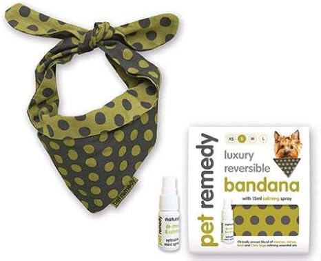 can dogs use normal shampoo