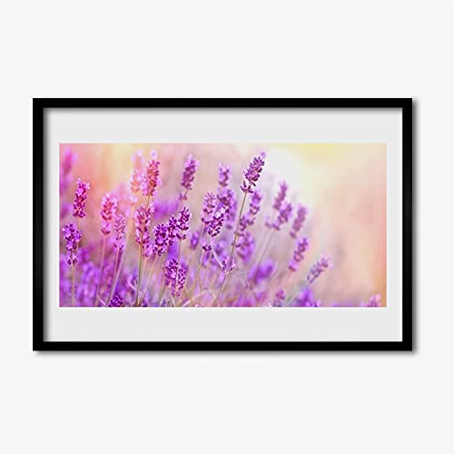 Fleurs de soleil et lavande affiche encadrée 60x40 cm pour une ambiance zen