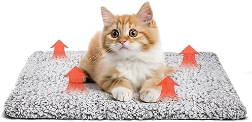GOEDCH Selbstheizende Katzendecke 70x46cm - Graue Wärmedecke Ohne Strom