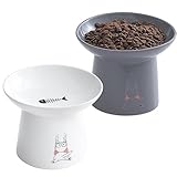 TAMAYKIM 6.5 Inch Extra Wide Raised Ceramic Cat Bowls, Food & Water Bowls for Elder Big Cats and Small Dogs, Elevated Sturdy Base Pet Feeder Dish, Stress Free, Protect Cat's Spine, White & Grey
