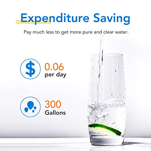 Icepure 5231Ja2002A Refrigerator Water Filter,Compatible With Lg Lt500P, Gen11042Fr-08, Adq72910901, Adq72910907, Lfx25974St, Lfx25973S, Kenmore 9890, 469890 2 Pack #TOP7