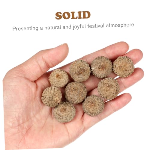 Set de 50 piezas de decoraciones de cáscara de bellota natural miniatura 7