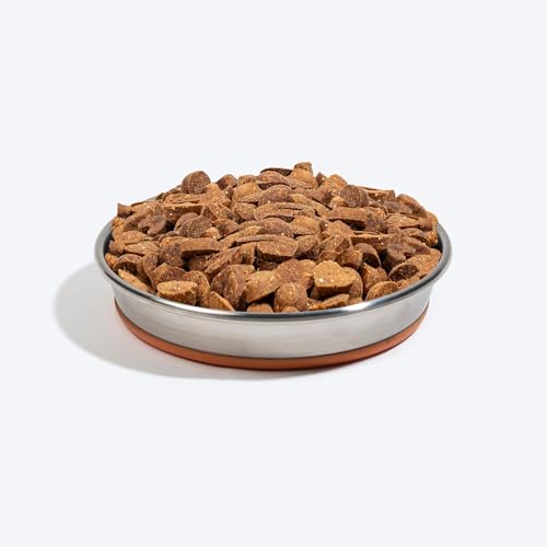 Image of HUFT Quintessential Slow Feeder Steel Bowl for Cats - Orange, 500 ml | Anti-Gulping Design | Stainless Steel Cat Bowl | Promotes Slow Eating | Durable & Easy to Clean for Daily Feeding