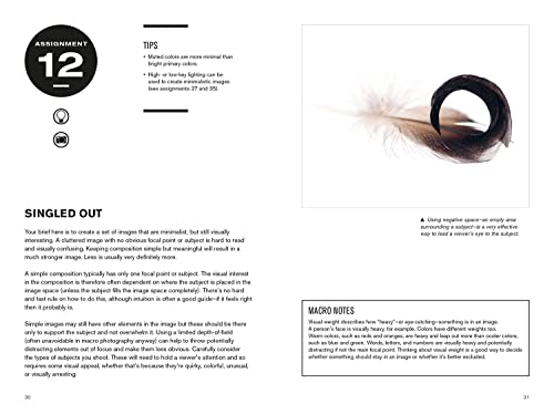 52 Assignments: Macro Photography - Image 4