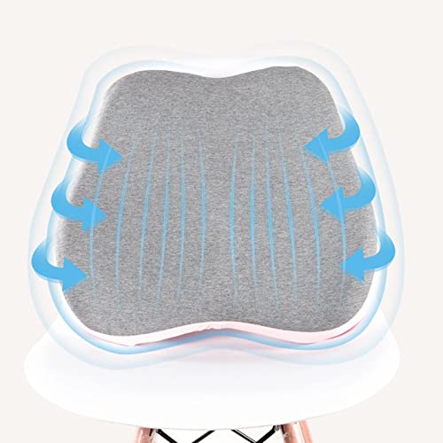 AMLESO Almofada de suporte lombar, almofada de espuma viscoelástica para encosto de cadeira de escri