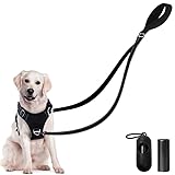 GOEDCH 12m Doppelleine für 2 Hunde: Reflektierend Doppelte Leinen mit Müllsack, Keine Verwicklung Robuste Nylon hundeleine, Doppelte Hundeleine zum Koppeln für kleine bis mittelgroße Hunde