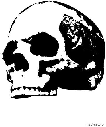 Human Skull - Sticker - DIe Cut Vinyl - Bright Print Sticker