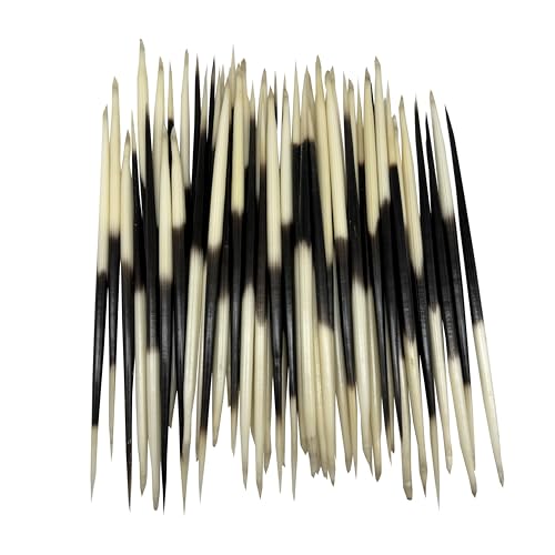 MMvolesy 6Pc Indian South African Porcupine Quill 7-8 Inch