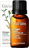  Aceite esencial de jengibre orgánico: un abrazo calmante de alivio térmico y rejuvenecimiento reparador (10 ml) - Aceite de jengibre orgánico de grado terapéutico 100% puro