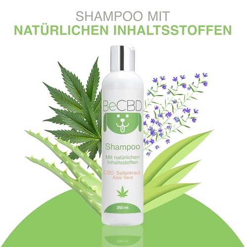 BeCBD - Natürliches Hundeshampoo mit CBD | Beruhigend & Pflegend für Empfindliche Haut | Hypoallergen & Tränenfrei, 250 ml