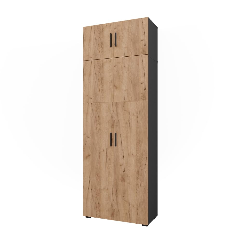 Vicco Étagère à dossiers Frank, Anthracite/chêne doré, 80x223.8cm avec Fixation d'armoire, pour Un Rangement Clair des dossiers et classeurs