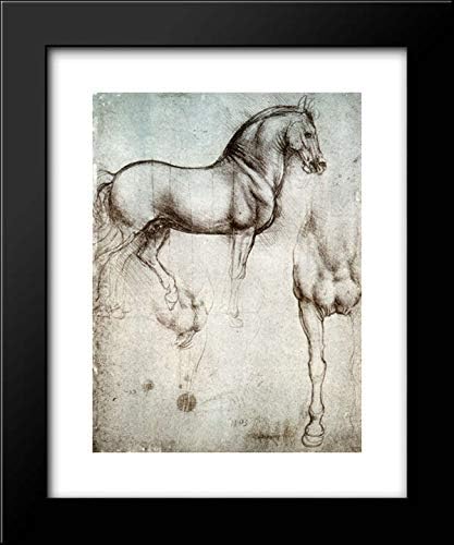 ArtDirect Study Of Horses 20x24 Framed Art Print by Leonardo da Vinci