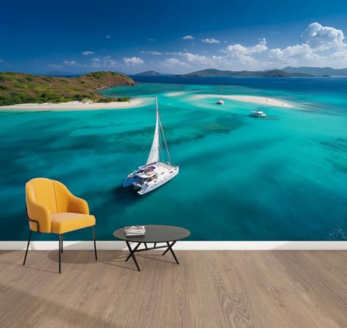 Wall Mural Peel and Stick Wallpaper Catamaran Anchor Front Deserted