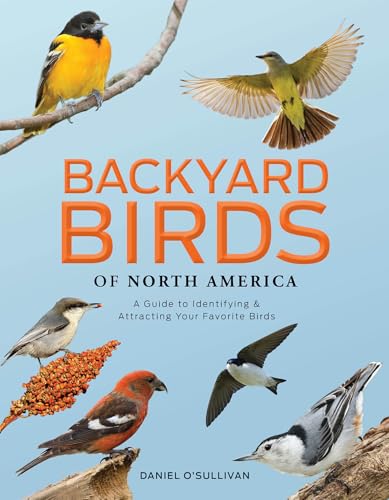 Backyard Birds of North America: A Guide to Identifying and