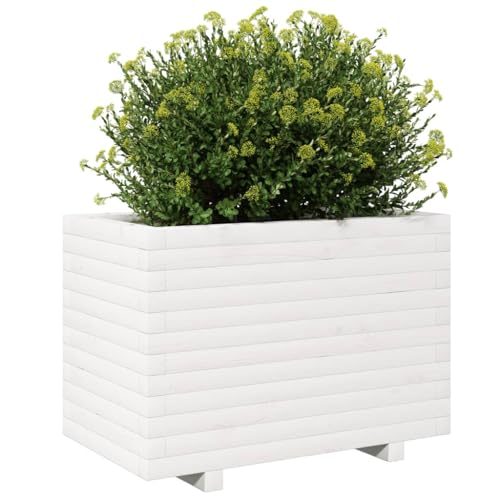 Jardinière blanche en pin avec drainage pour herbes