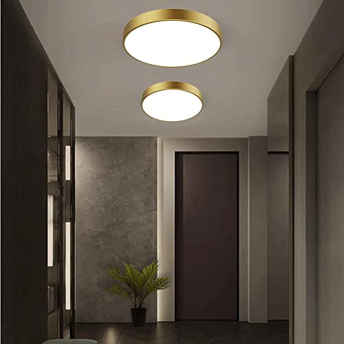Accesorio de iluminación de techo de modo LED de latón refinado para proyectos de interior 3