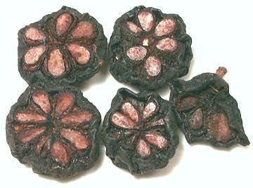 Kokum Dry (Wild Mangosteen) 7 oz. (200g)