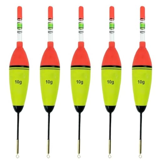 XPEX 5 Piezas Flotadores De Pesca, Boyas De Pesca, Flotador De Pesca, Flotador De Pesca De Espuma Eva, Pesca Starlight, Flotadores De Pesca Nocturna - Pesca De Trucha De Lago (10G)