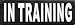 Service Dog "In Training" Reflective Velcro Patch for DogStylze And Dean & Tyler Vests (Small (4" x 1.5"))
