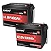 DUMFUME 2 Packs 12V 100Ah Mini Max LiFePO4 Lithium Battery with Built-in Smart 100A BMS,Low Temp Protection Lithium Iron Phosphate Battery,2560WH Energy,Perfect for RV,solar off-grid systems,camping