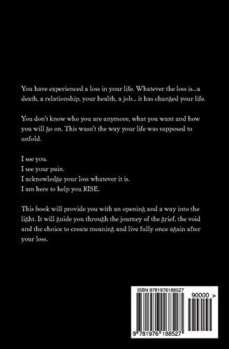 When The Meaning Is Lost The Journey Through The Grief The Void And The Choice To Live Fully Once Again After A Loss Ethier Jill Amazon Com Books