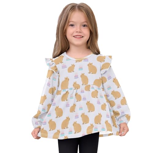 Capybara Birthday Cake Q Girls Shirts Cotton Long Sleeve Ruffle Toddler Tee Tops3