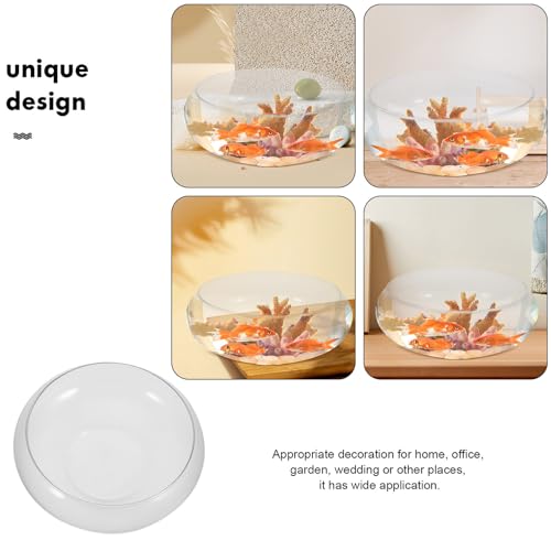 Bol à poissons miniature pour table basse et bureau zen - 4