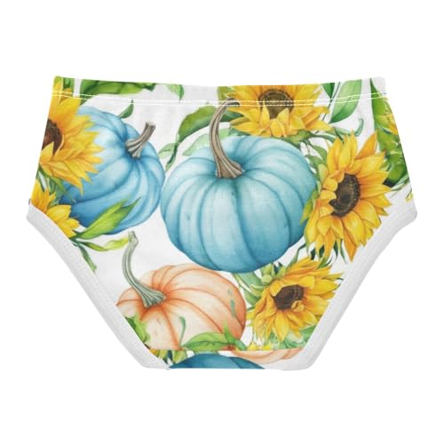 Thanksgiving Pumpkin Sunflowes Girls Underwear Toddler 2t Cotton Panties Little Girl Colorful Kids Undies Briefs2